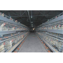 a Frame Layer/Broiler Breeding Chicken Cage Equipment System for Poultry Farm Use